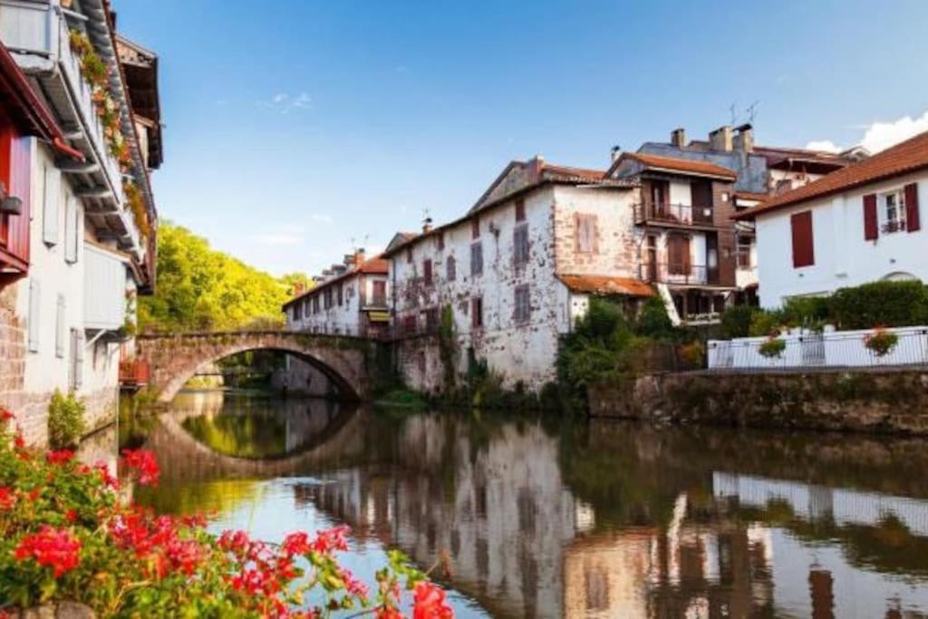 Saint-Jean-le-Vieux  Bergerie Geldi Leku 빌라 외부 사진